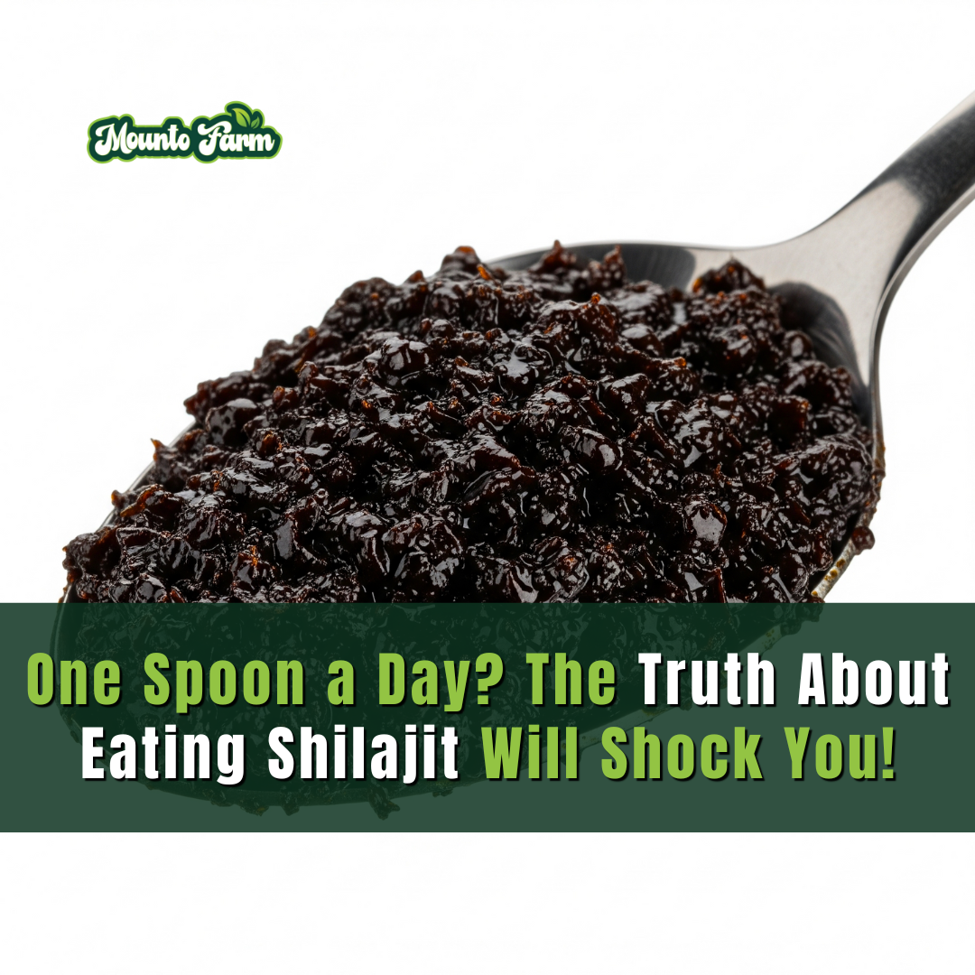 One Spoon a Day? The Truth About Eating Shilajit Will Shock You!