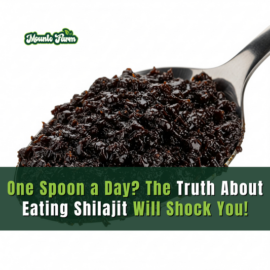 One Spoon a Day? The Truth About Eating Shilajit Will Shock You!