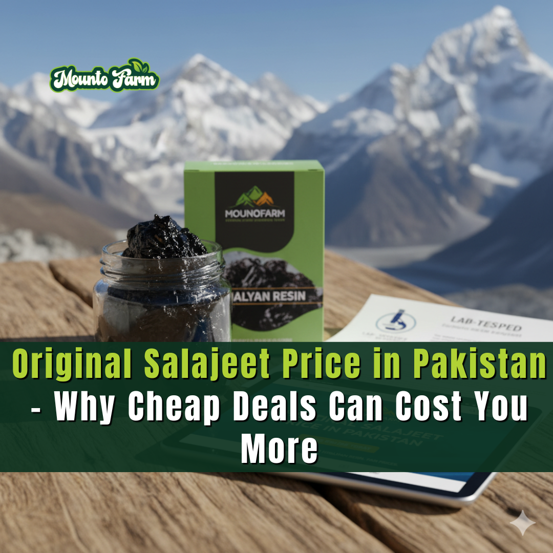 Original Salajeet Price in Pakistan – Why Cheap Deals Can Cost You More