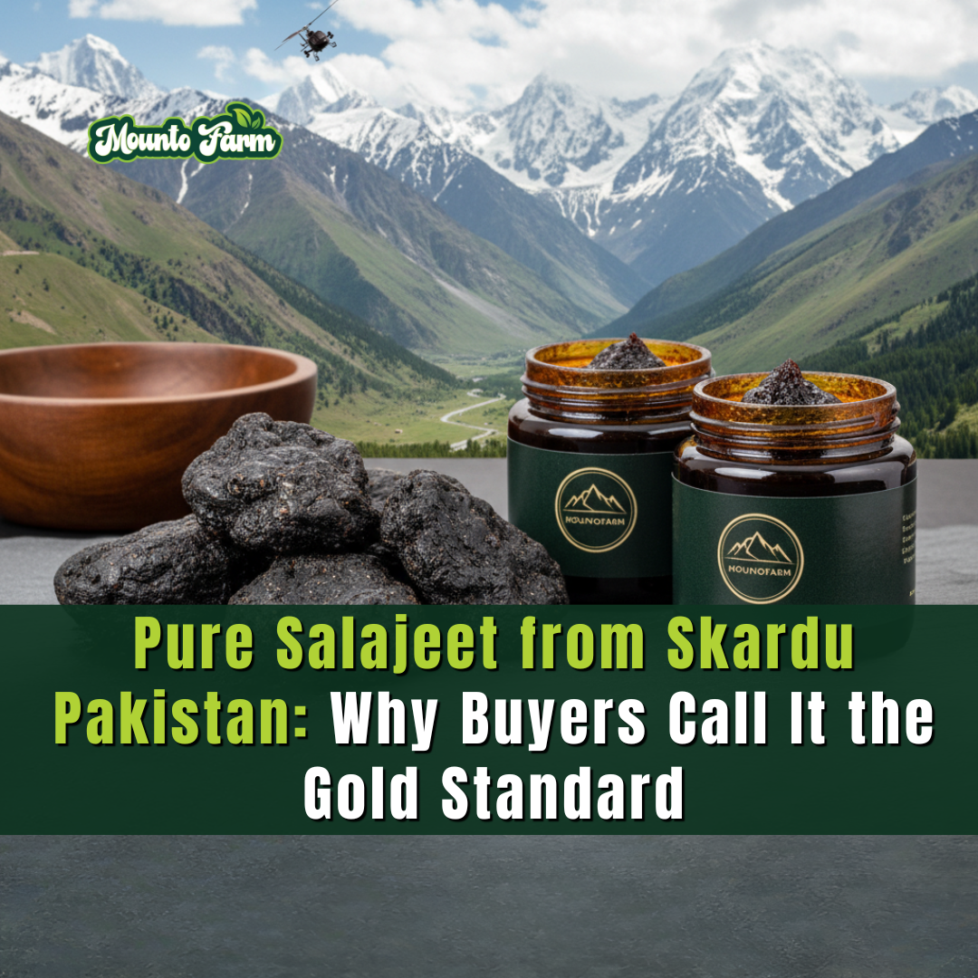 Pure Salajeet from Skardu Pakistan: Why Buyers Call It the Gold Standard