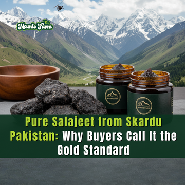 Pure Salajeet from Skardu Pakistan: Why Buyers Call It the Gold Standard