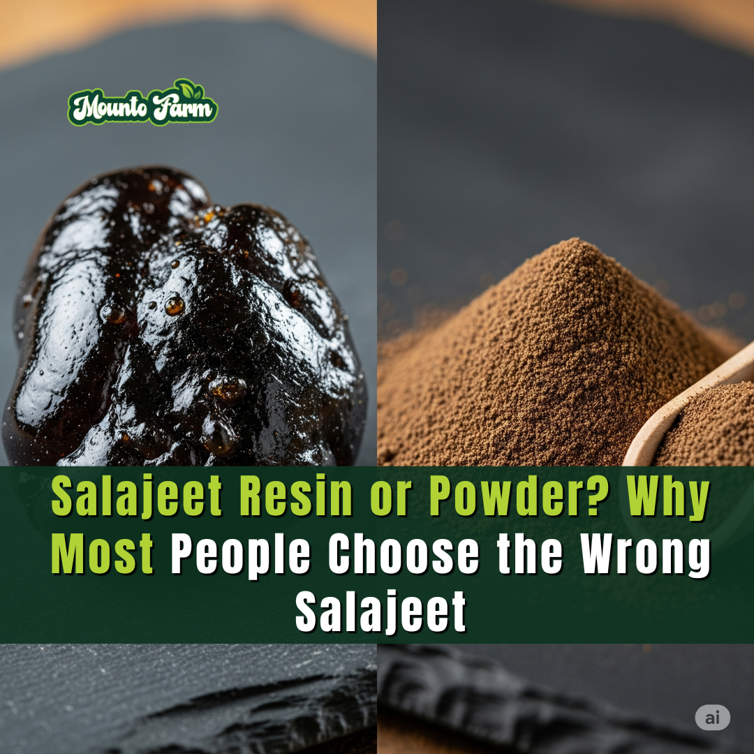 Resin or Powder? Why Most People Choose the Wrong Salajeet - Mountofarm Salajeet