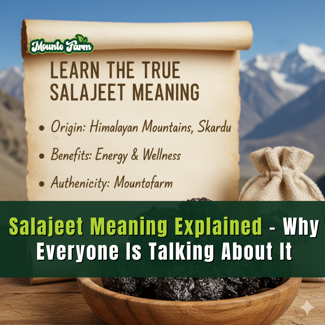 Salajeet Meaning Explained – Why Everyone Is Talking About It - Mountofarm Shilajit