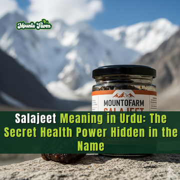 Salajeet Meaning in Urdu: The Secret Health Power Hidden in the Name