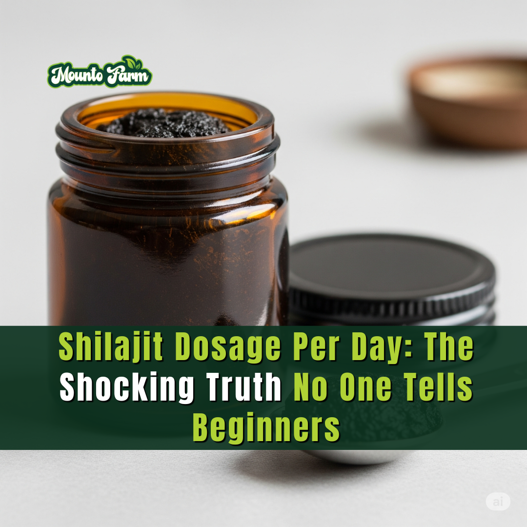 Shilajit Dosage Per Day: The Shocking Truth No One Tells Beginners - Mountofarm Shilajit