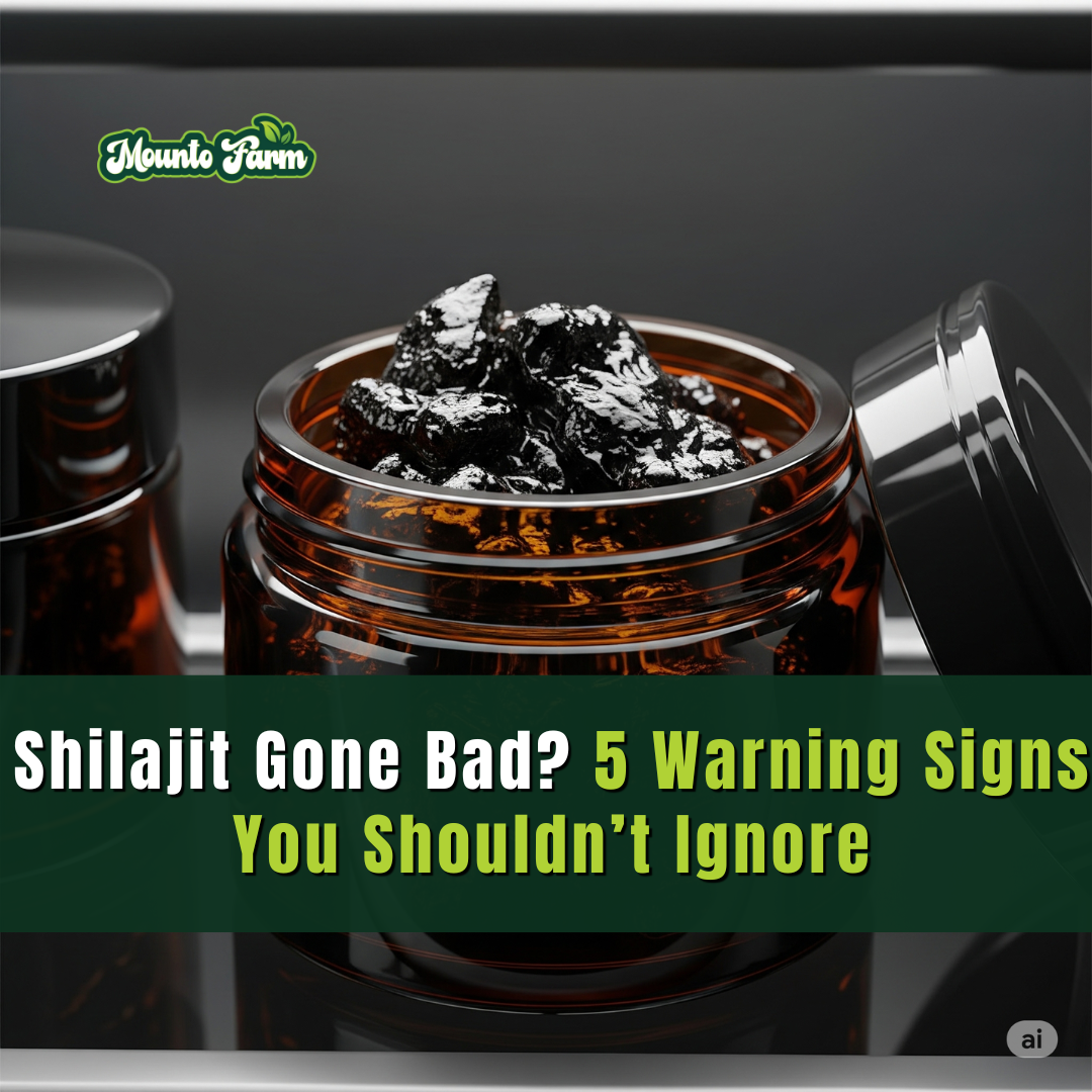 Shilajit Gone Bad? 5 Warning Signs You Shouldn’t Ignore