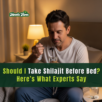 Should I Take Shilajit Before Bed? Here’s What Experts Say - Mountofarm