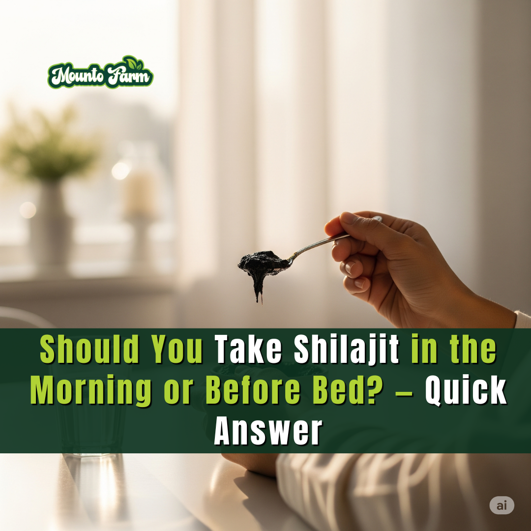Should You Take Shilajit in the Morning or Before Bed? — Quick Answer - Mountofarm Shilajit