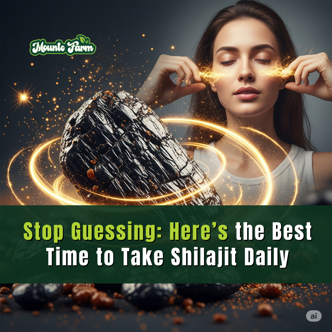 Stop Guessing: Here’s the Best Time to Take Shilajit Daily - Mountofarm shilajit