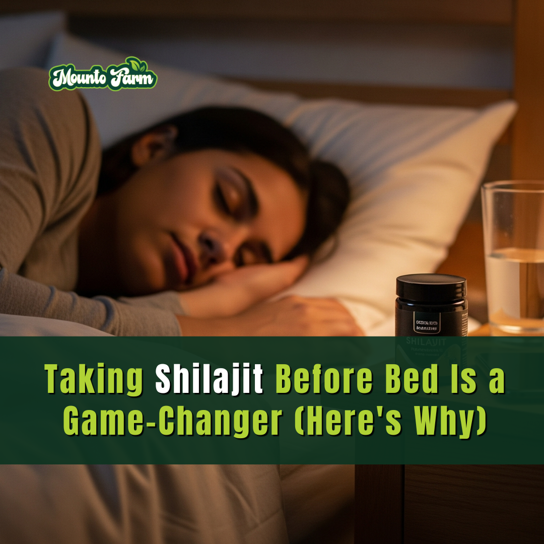 Taking Shilajit Before Bed Is a Game-Changer (Here's Why)