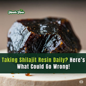 Taking Shilajit Resin Daily? Here’s What Could Go Wrong! - Mountofarm