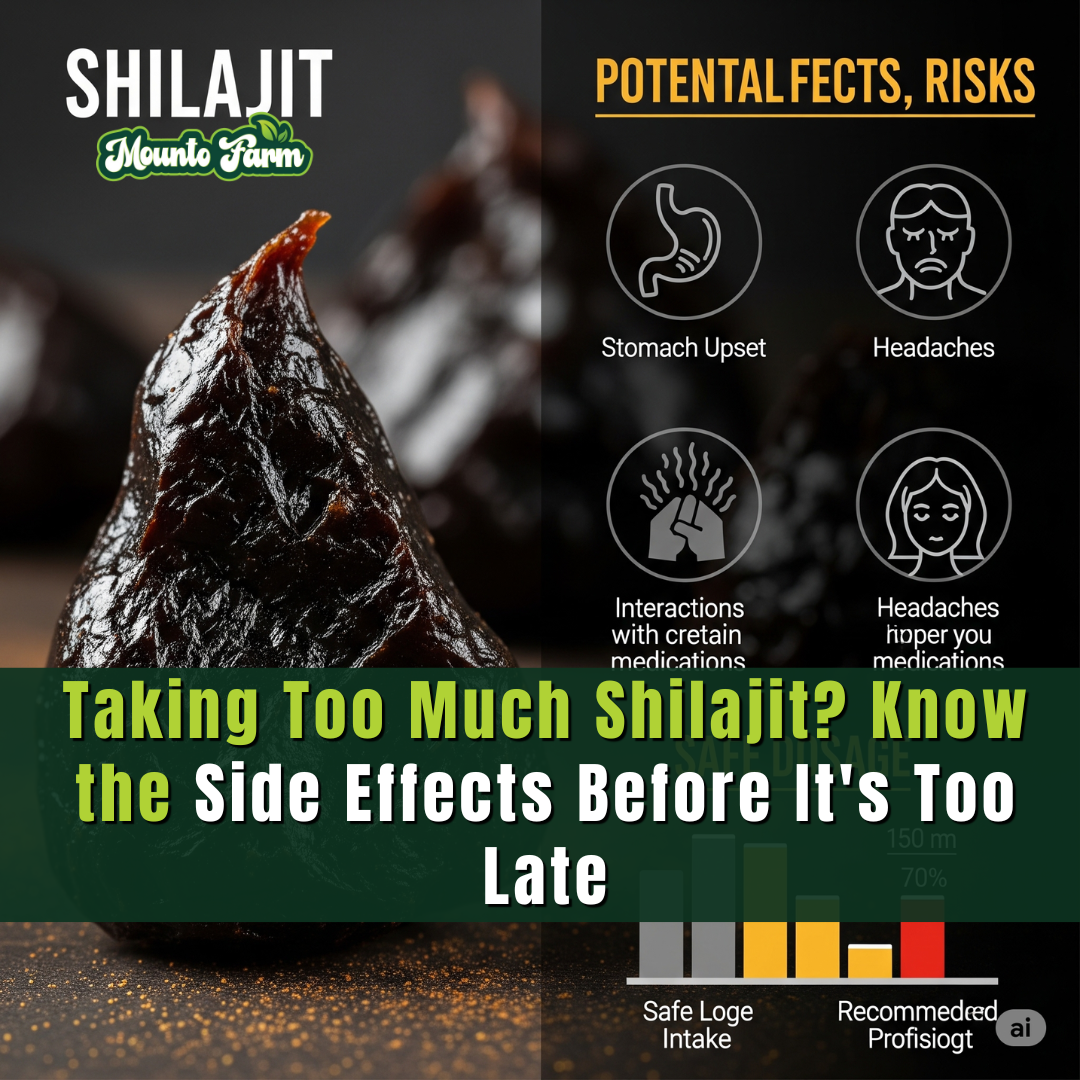 Taking Too Much Shilajit? Know the Side Effects Before It's Too Late - Mountofarm