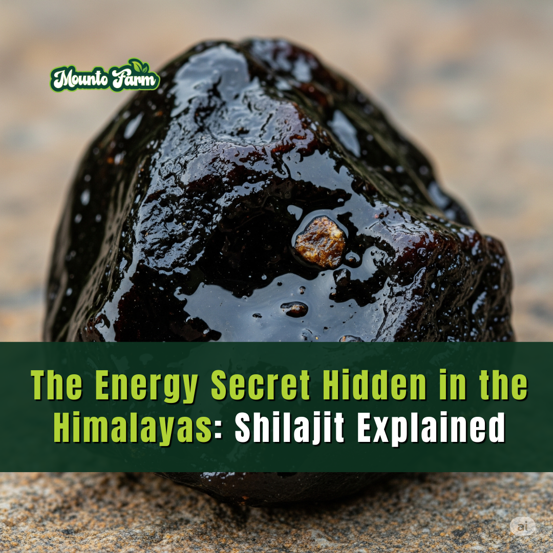 The Energy Secret Hidden in the Himalayas: Shilajit Explained - Mountofarm Shilajit