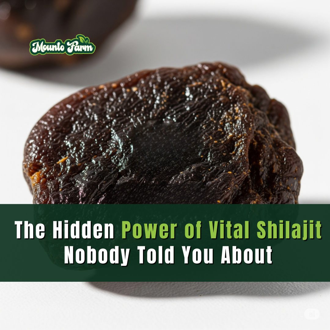 The Hidden Power of Vital Shilajit Nobody Told You About