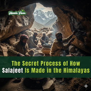 The Secret Process of How Salajeet Is Made in the Himalayas - Mountofarm Shilajit