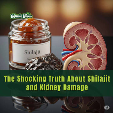 The Shocking Truth About Shilajit and Kidney Damage - Mountofarm Shilajit