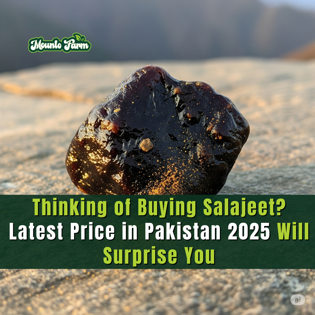 Thinking of Buying Salajeet? Latest Price in Pakistan 2025 Will Surprise You - Mountofarm Shilajit