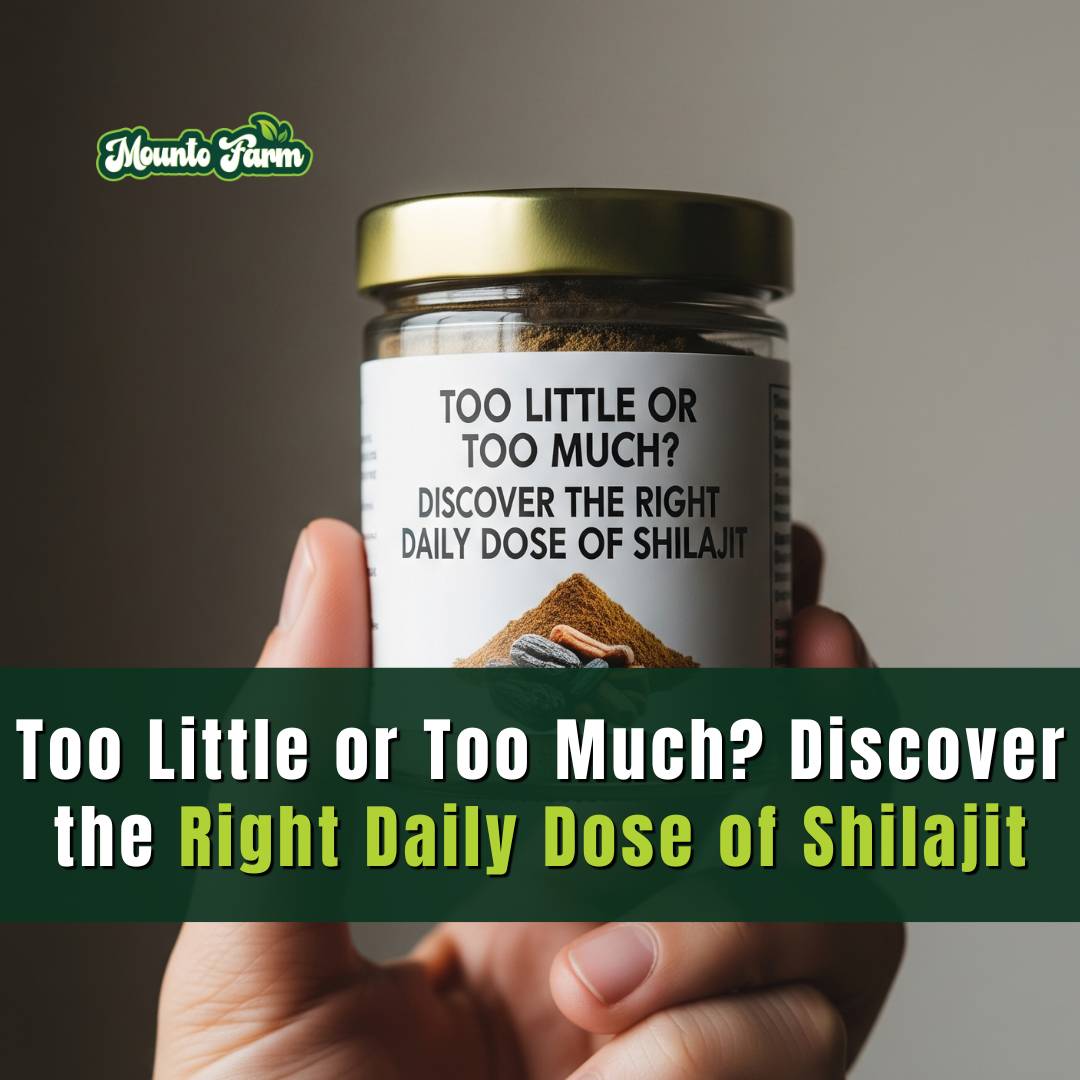 Too Little or Too Much? Discover the Right Daily Dose of Shilajit