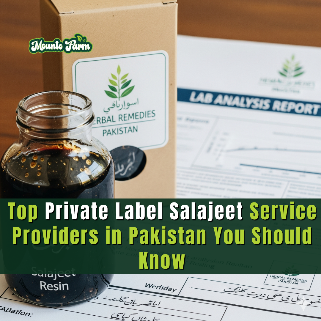Top Private Label Salajeet Service Providers Pakistan - Mountofarm