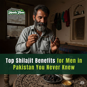 Top Shilajit Benefits for Men in Pakistan You Never Knew - Mountofarm Salajeet