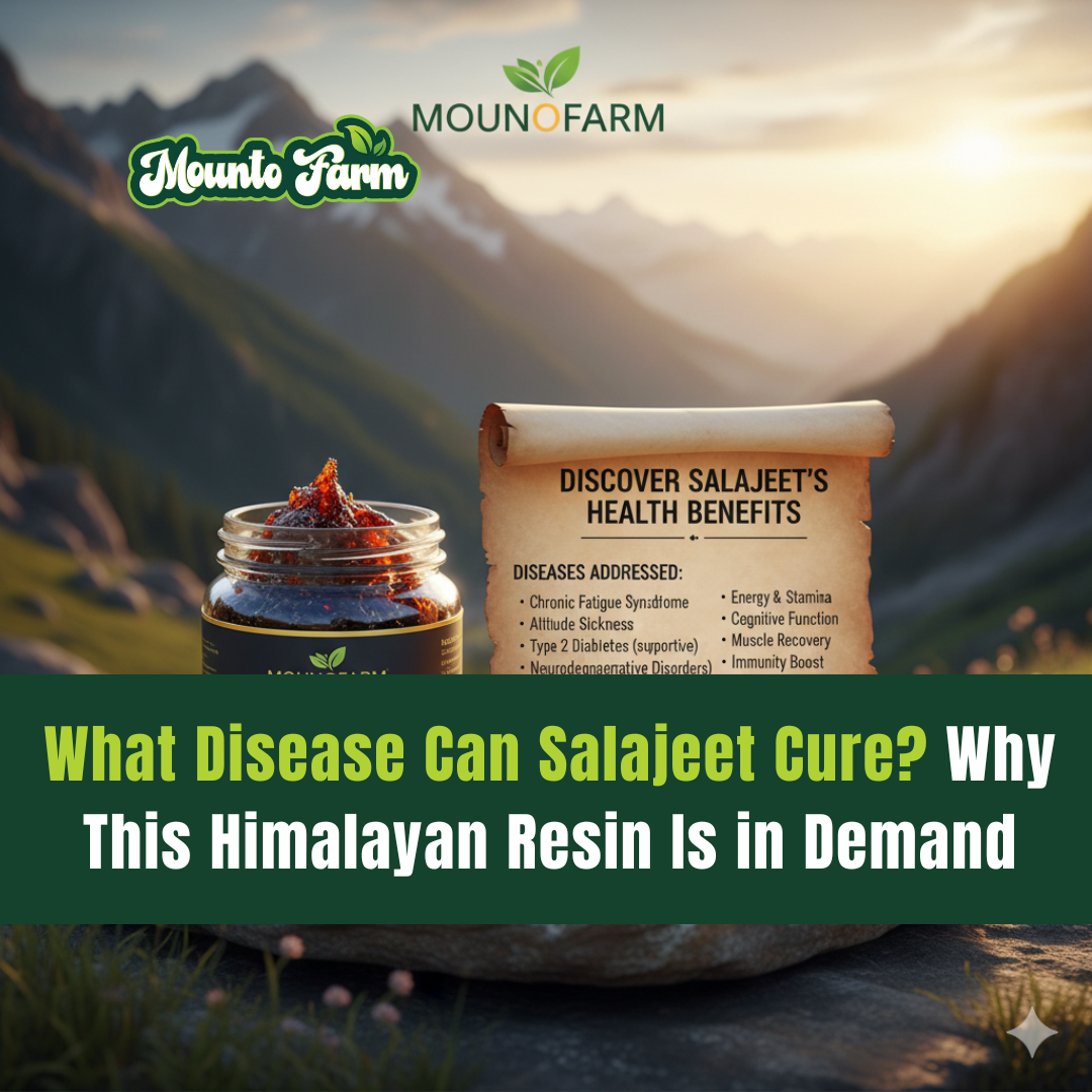 What Disease Can Salajeet Cure? Why This Himalayan Resin Is in Demand