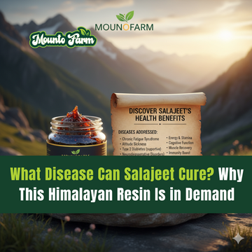 What Disease Can Salajeet Cure? Why This Himalayan Resin Is in Demand