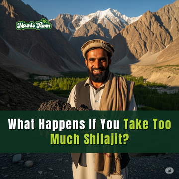 What Happens If You Take Too Much Shilajit? Mountofarm