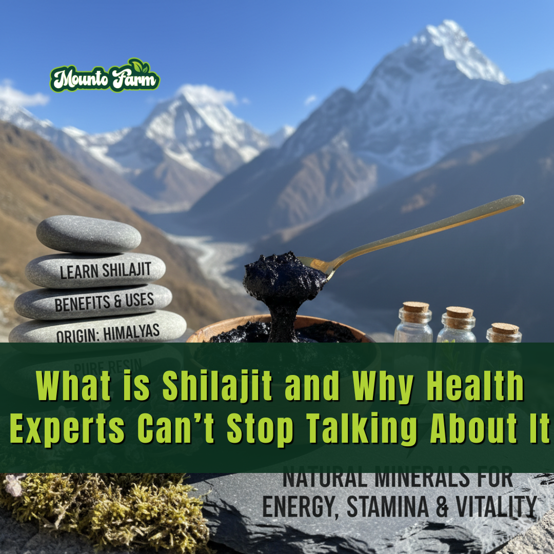 What is Shilajit and Why Health Experts Can’t Stop Talking About It - Mountofarm Shilajit