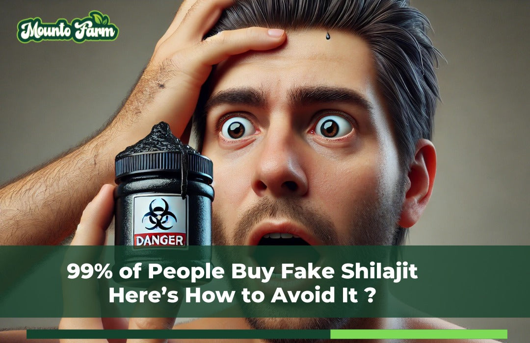 best shilajit in pakistan