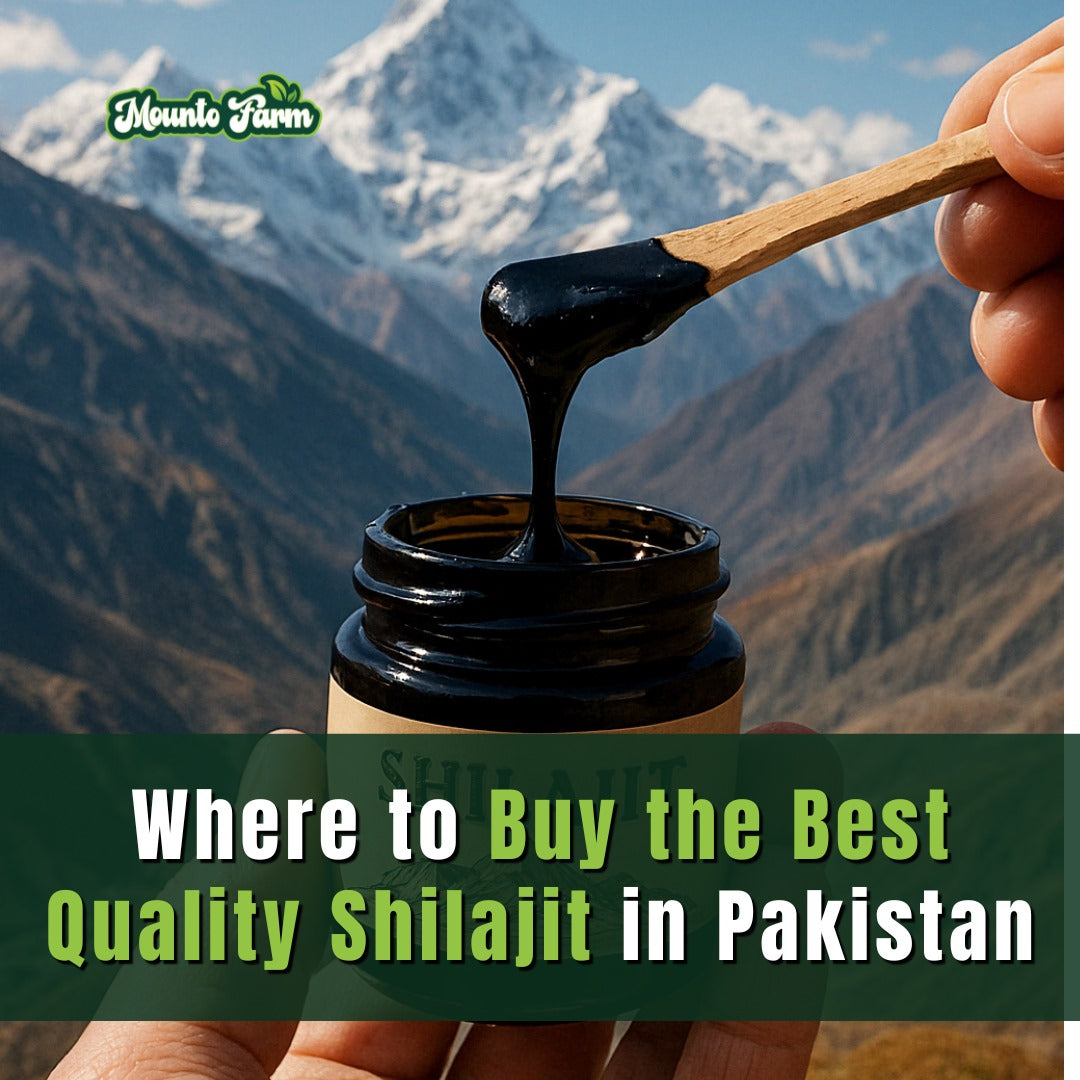 best shilajit in pakistan