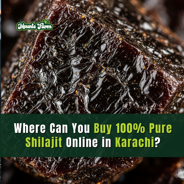 Where Can You Buy 100% Pure Shilajit Online in Karachi? Mountofarm Vital Shilajit