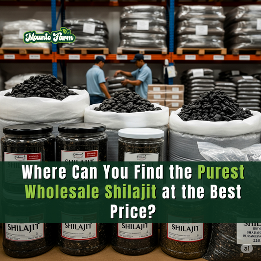 Where Can You Find the Purest Wholesale Shilajit at the Best Price?