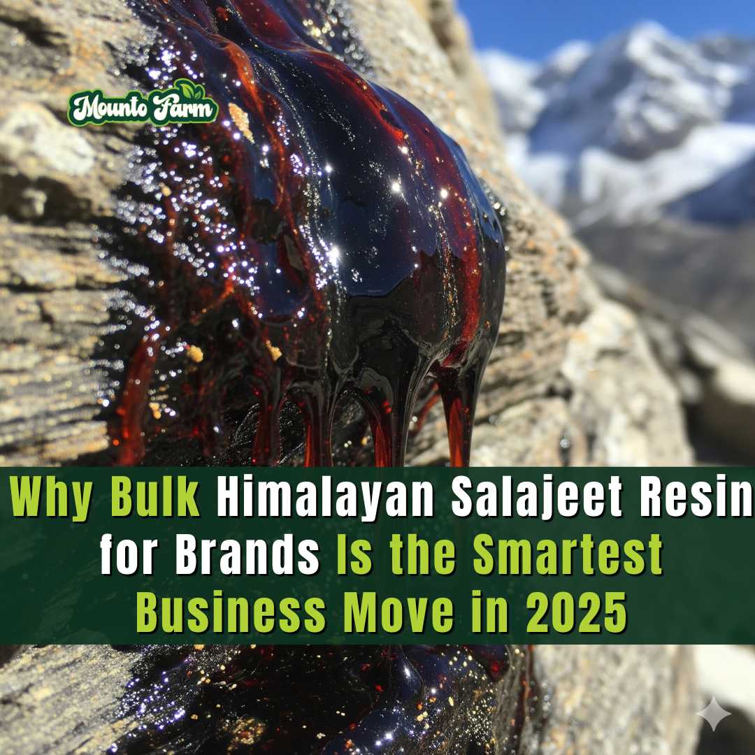 Why Bulk Himalayan Salajeet Resin for Brands Is the Smartest Business Move in 2025