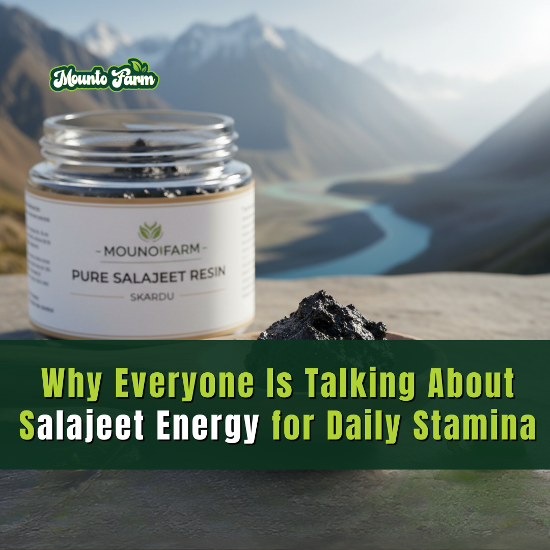 Why Everyone Is Talking About Salajeet Energy for Daily Stamina - Mountofarm Shilajit