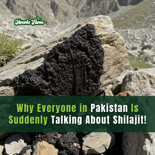 Why Everyone in Pakistan Is Suddenly Talking About Shilajit!