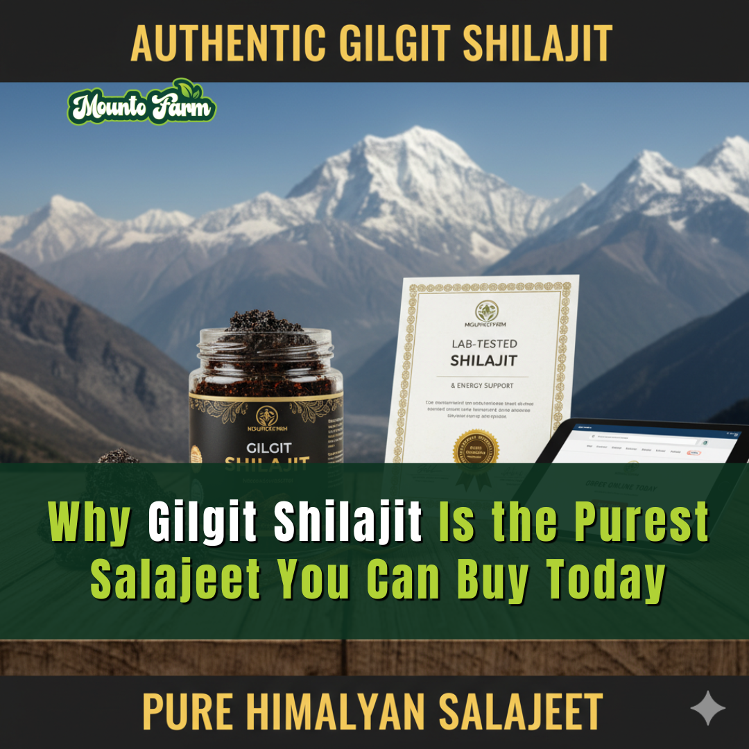 Why Gilgit Shilajit Is the Purest Salajeet You Can Buy Today - Mountofarm Shilajit