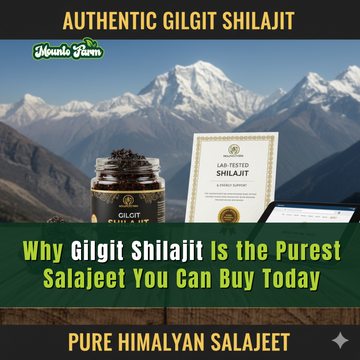 Why Gilgit Shilajit Is the Purest Salajeet You Can Buy Today - Mountofarm Shilajit