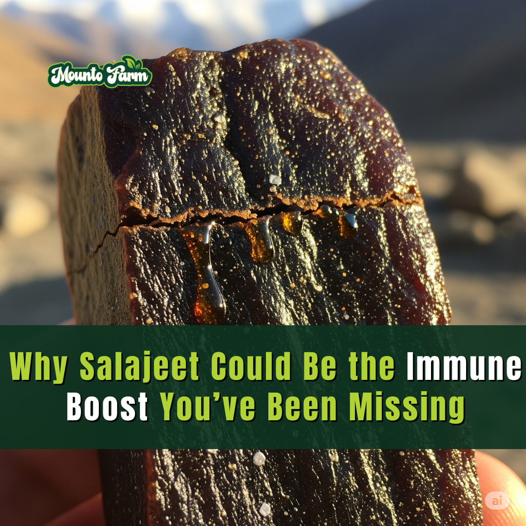 Why Salajeet Could Be the Immune Boost You’ve Been Missing - Mountofarm  Salajeet