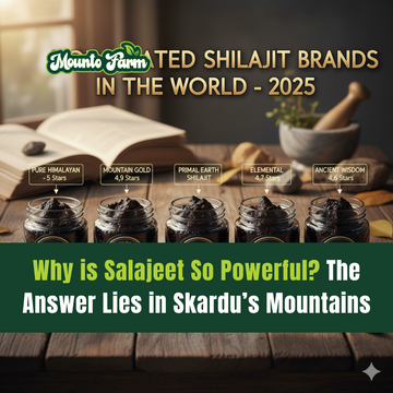 Why is Salajeet So Powerful? The Answer Lies in Skardu’s Mountains - Mountofarm Salajeet