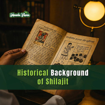 Shilajit Historical Background: Ancient Origins of Nature’s Most Powerful Remedy