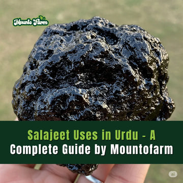 Salajeet Uses in Urdu – A Complete Guide by Mountofarm