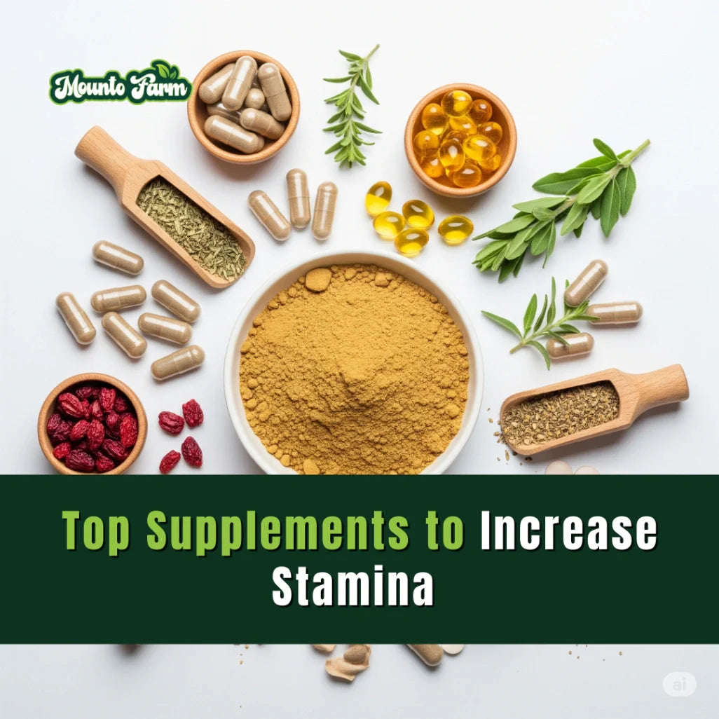 Top Supplements to Increase Stamina – Natural Energy Boosters Backed by Science