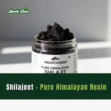 Shilajeet – Buy Pure Himalayan Resin | Wholesale & Private Label by Mountofarm