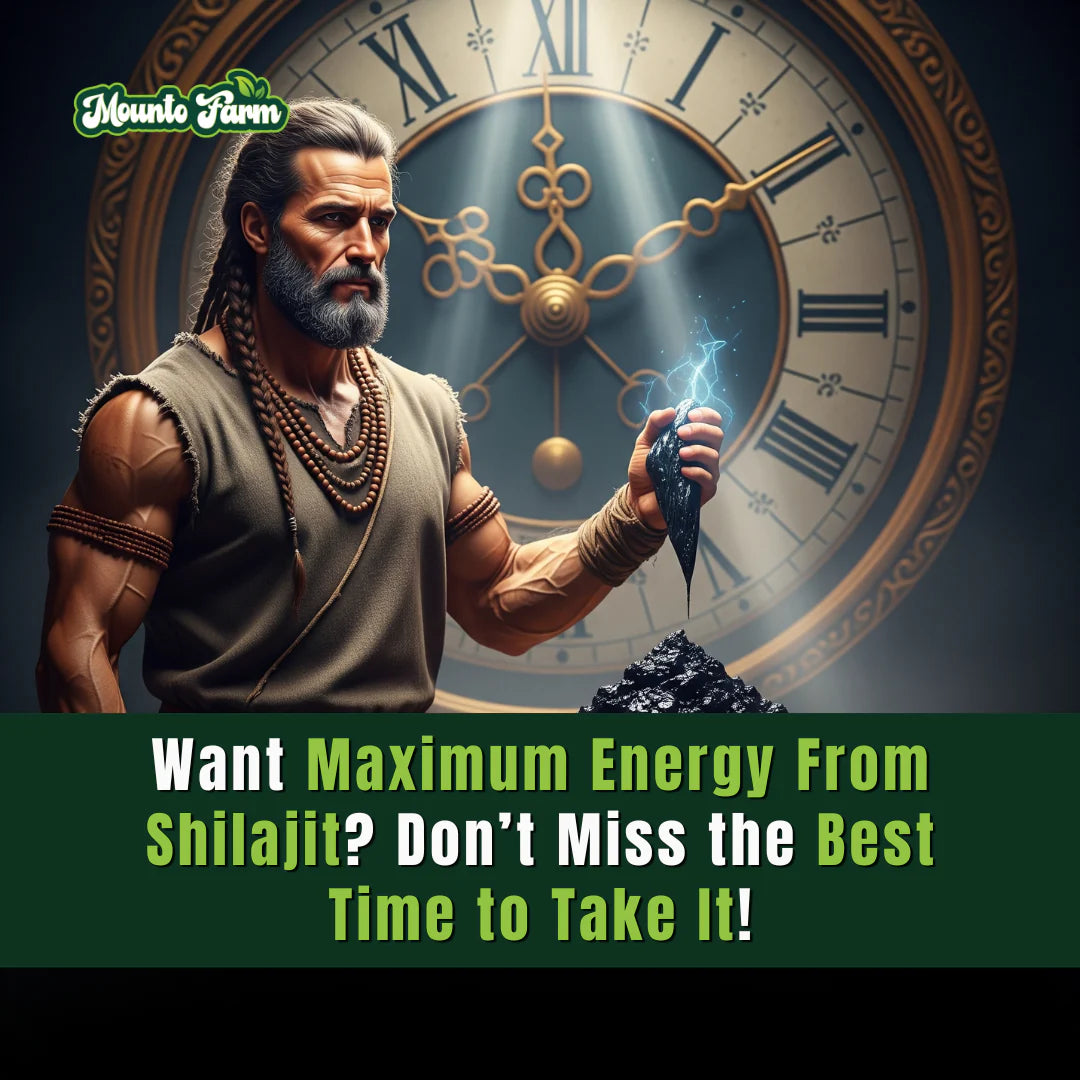 Want Maximum Energy From Shilajit? Don’t Miss the Best Time to Take It!