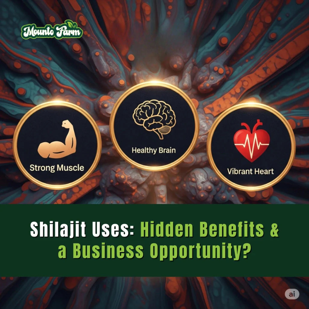 Shilajit Uses: Hidden Benefits & a Business Opportunity?