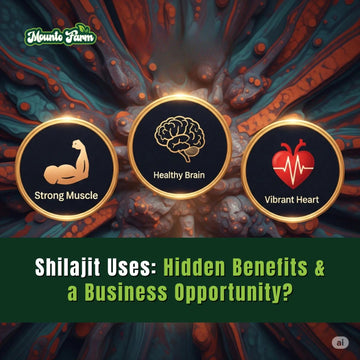 Shilajit Uses: Hidden Benefits & a Business Opportunity?