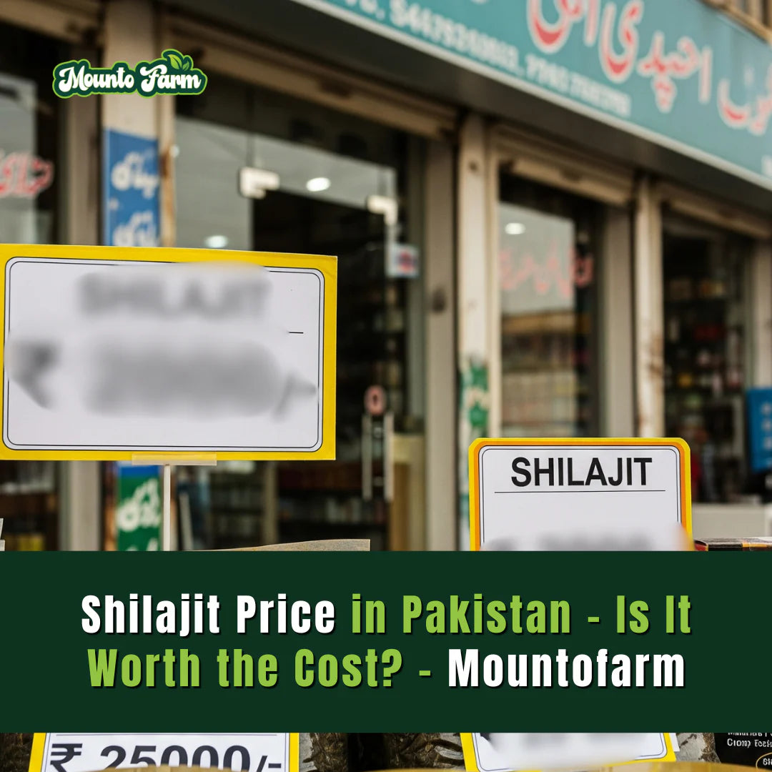 Shilajit Price in Pakistan – Is It Worth the Cost? - Mountofarm