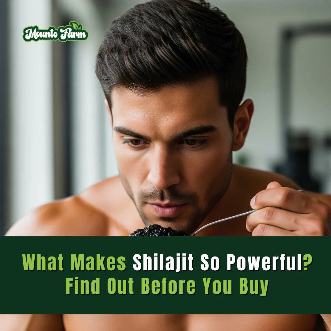 What Makes Shilajit So Powerful? Find Out Before You Buy