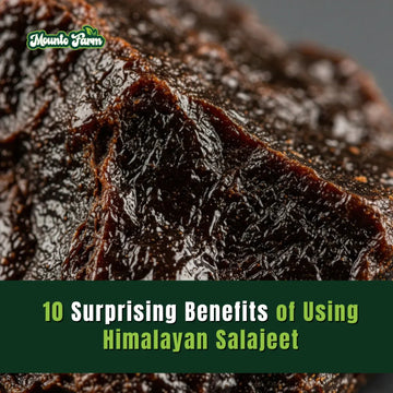 10 Surprising Benefits of Using Himalayan Salajeet
