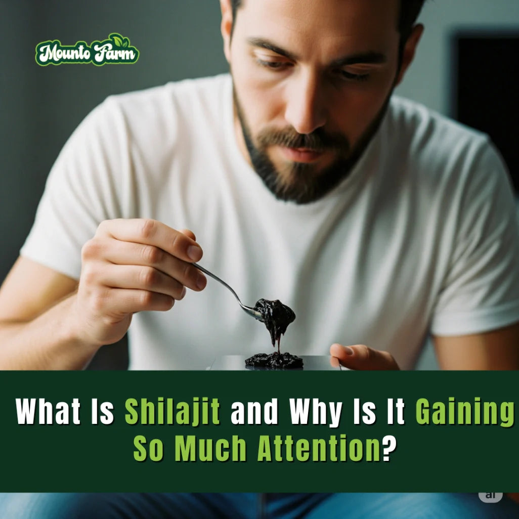 What Is Shilajit and Why Is It Gaining So Much Attention?
